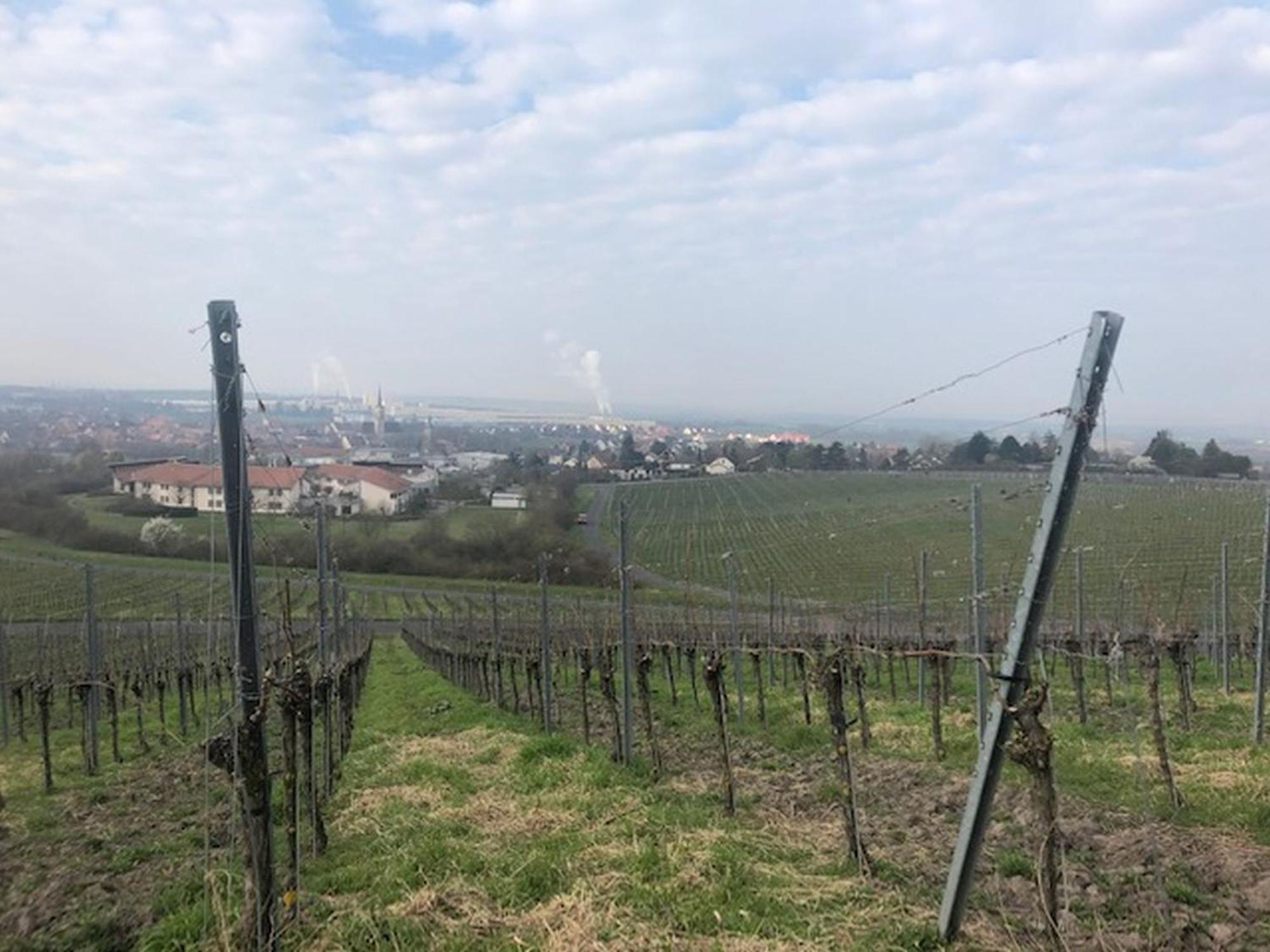 Ferienwohnung Weinberg Markt Einersheim Esterno foto