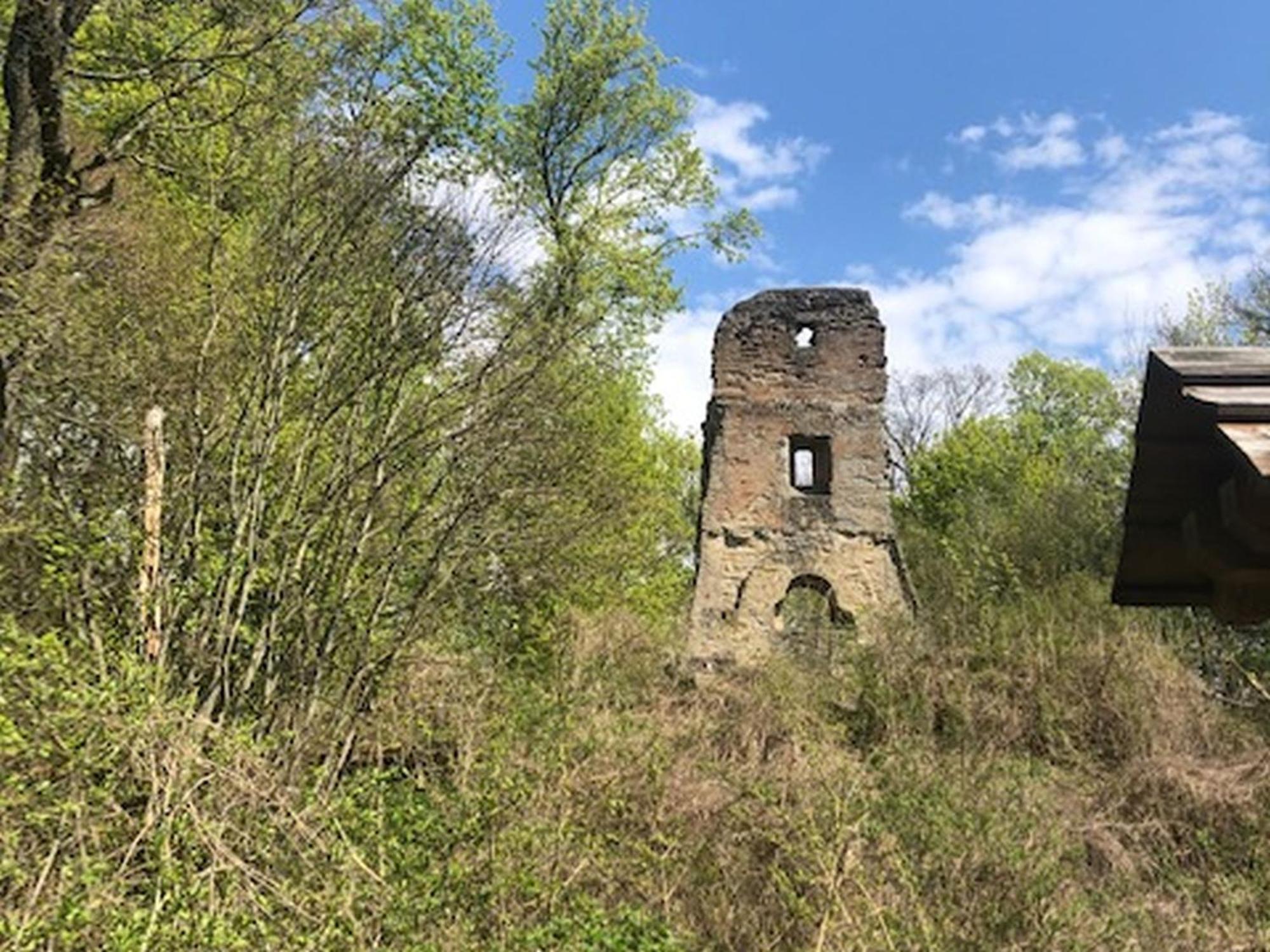 Ferienwohnung Weinberg Markt Einersheim Esterno foto